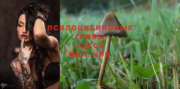 дмт Данков
