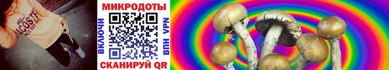 купить закладку  Киреевск  Галлюциногенные грибы прущие грибы 