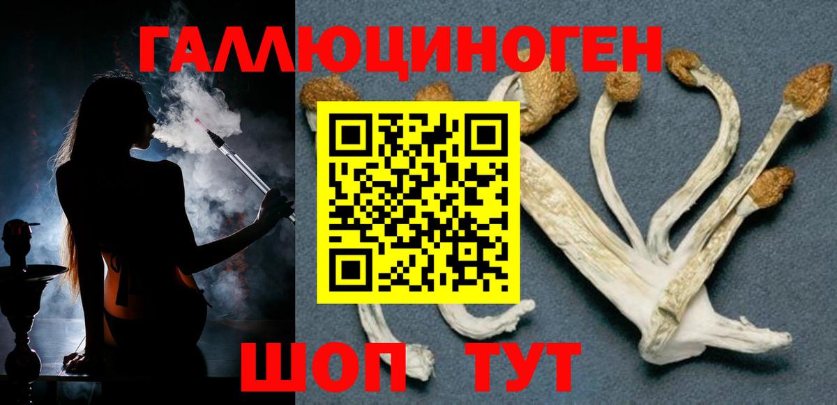 Киреевск  Галлюциногенные грибы мухоморы  Вход с VPN  Галлюциногенные грибы Psilocybe 