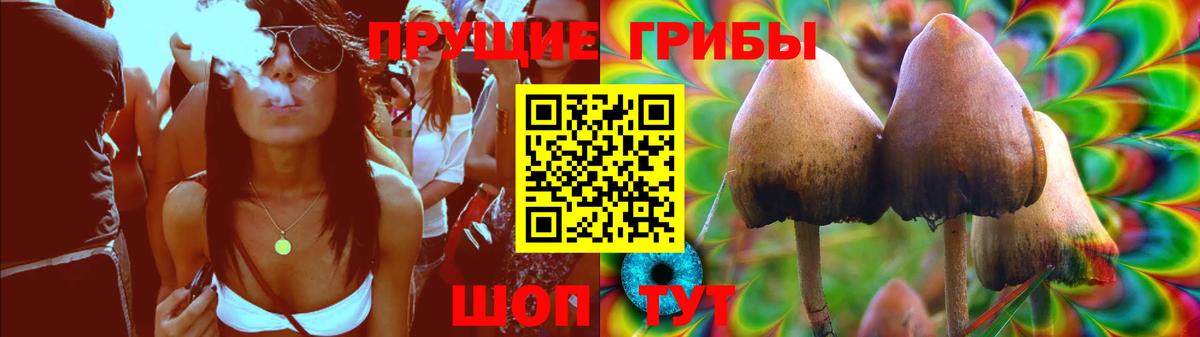 Псилоцибиновые грибы мицелий Киреевск